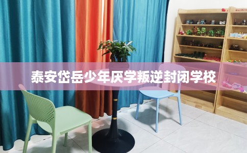 泰安岱岳少年厌学叛逆封闭学校