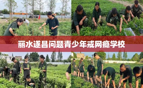 丽水遂昌问题青少年戒网瘾学校