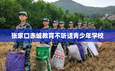 张家口赤城教育不听话青少年学校