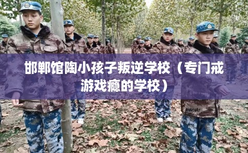 邯郸馆陶小孩子叛逆学校（专门戒游戏瘾的学校）