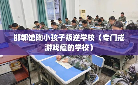 邯郸馆陶小孩子叛逆学校（专门戒游戏瘾的学校）