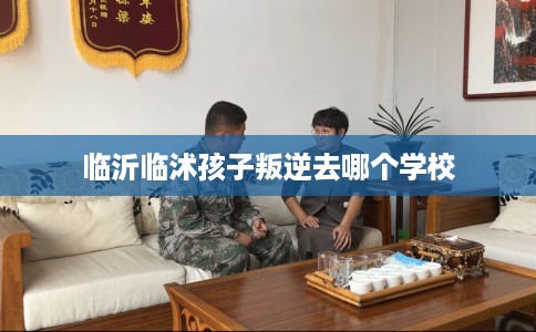 临沂临沭孩子叛逆去哪个学校