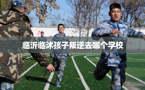 临沂临沭孩子叛逆去哪个学校