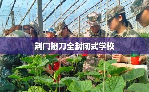 荆门掇刀全封闭式学校