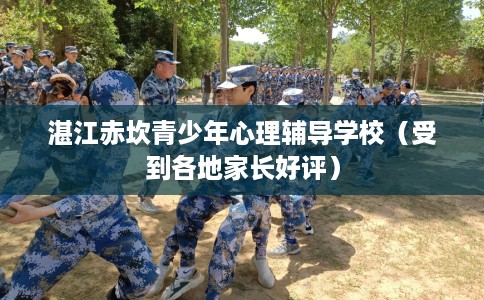 湛江赤坎青少年心理辅导学校（受到各地家长好评）