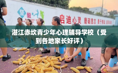 湛江赤坎青少年心理辅导学校（受到各地家长好评）