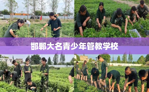 邯郸大名青少年管教学校
