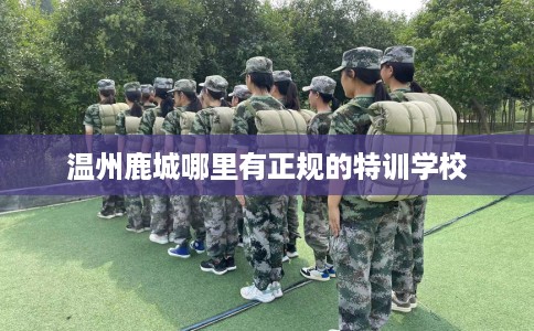 温州鹿城哪里有正规的特训学校