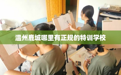 温州鹿城哪里有正规的特训学校