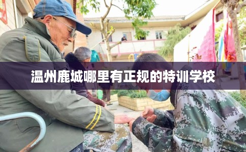 温州鹿城哪里有正规的特训学校