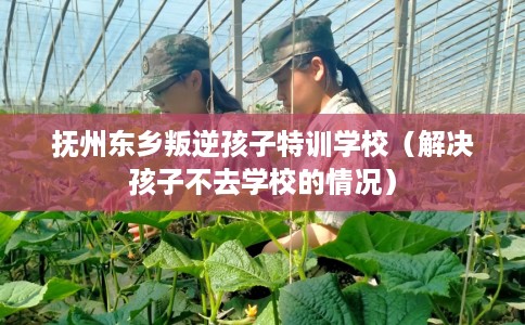抚州东乡叛逆孩子特训学校（解决孩子不去学校的情况）