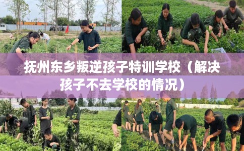 抚州东乡叛逆孩子特训学校（解决孩子不去学校的情况）
