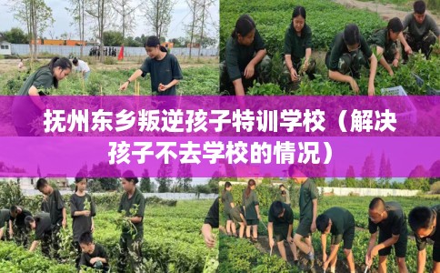 抚州东乡叛逆孩子特训学校（解决孩子不去学校的情况）