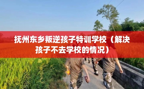 抚州东乡叛逆孩子特训学校（解决孩子不去学校的情况）