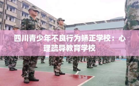 四川青少年不良行为矫正学校：心理疏导教育学校