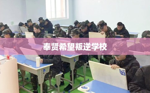 奉贤希望叛逆学校