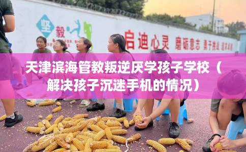 天津滨海管教叛逆厌学孩子学校（解决孩子沉迷手机的情况）