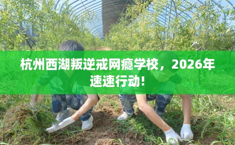 杭州西湖叛逆戒网瘾学校，2026年速速行动!