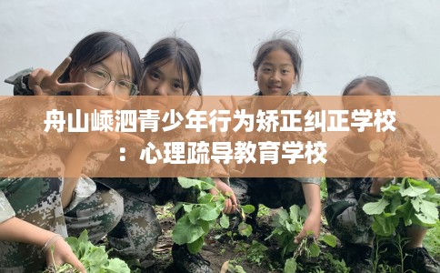 舟山嵊泗青少年行为矫正纠正学校：心理疏导教育学校