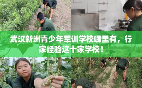 武汉新洲青少年军训学校哪里有，行家经验这十家学校！