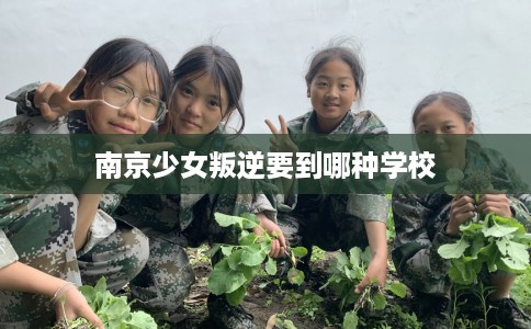 南京少女叛逆要到哪种学校
