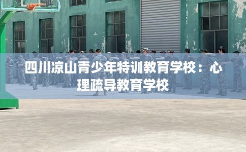 四川凉山青少年特训教育学校：心理疏导教育学校
