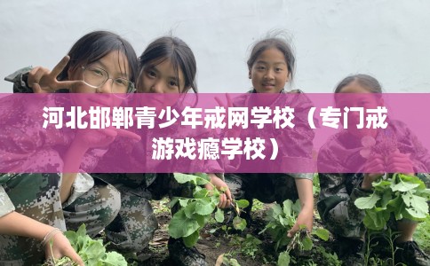 河北邯郸青少年戒网学校（专门戒游戏瘾学校）