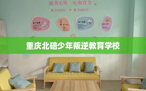重庆北碚少年叛逆教育学校