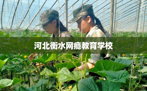 河北衡水网瘾教育学校