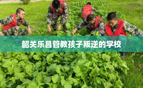 韶关乐昌管教孩子叛逆的学校