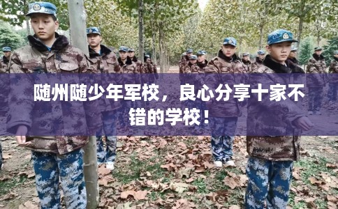 随州随少年军校，良心分享十家不错的学校！