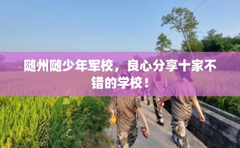 随州随少年军校，良心分享十家不错的学校！