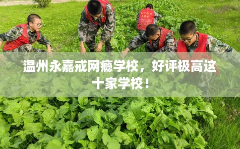 温州永嘉戒网瘾学校，好评极高这十家学校！
