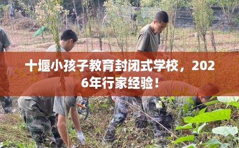 十堰小孩子教育封闭式学校，2026年行家经验！