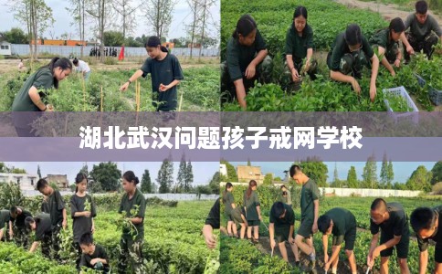 湖北武汉问题孩子戒网学校