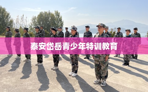 泰安岱岳青少年特训教育
