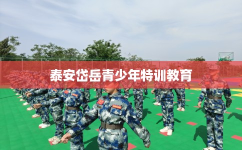 泰安岱岳青少年特训教育