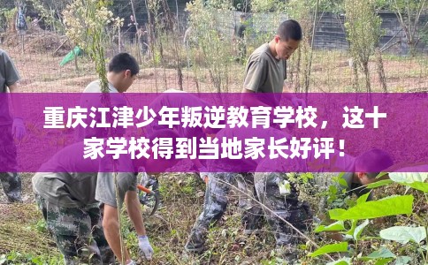 重庆江津少年叛逆教育学校，这十家学校得到当地家长好评！