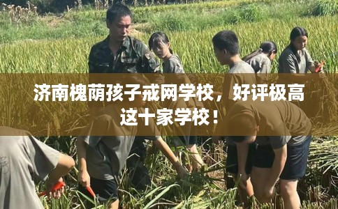 济南槐荫孩子戒网学校，好评极高这十家学校！