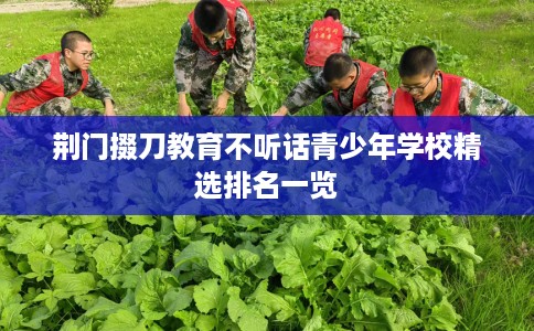 荆门掇刀教育不听话青少年学校精选排名一览