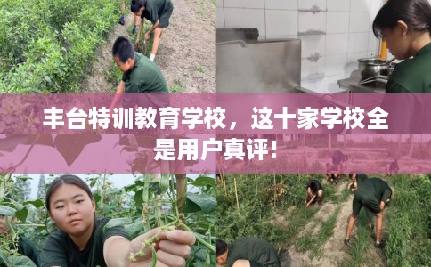 丰台特训教育学校，这十家学校全是用户真评!