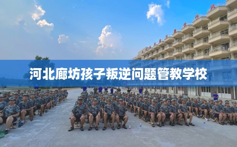 河北廊坊孩子叛逆问题管教学校