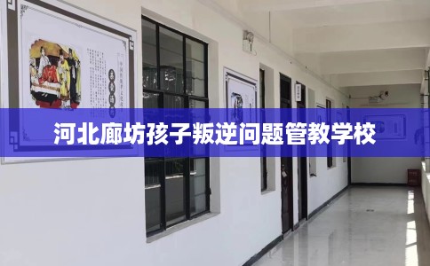 河北廊坊孩子叛逆问题管教学校