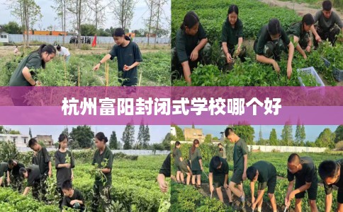杭州富阳封闭式学校哪个好