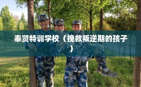 奉贤特训学校（挽救叛逆期的孩子）
