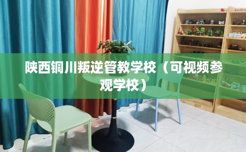 陕西铜川叛逆管教学校（可视频参观学校）