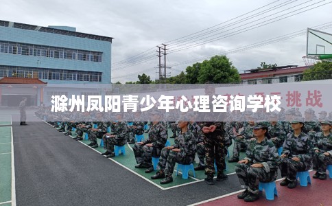 滁州凤阳青少年心理咨询学校