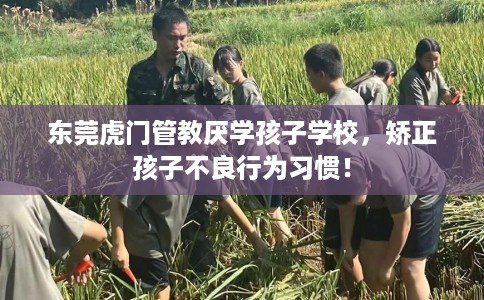 东莞虎门管教厌学孩子学校，矫正孩子不良行为习惯！
