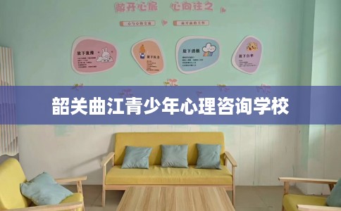 韶关曲江青少年心理咨询学校
