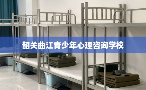 韶关曲江青少年心理咨询学校